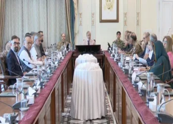 295 Dead, 1,600 Homes Destroyed: PM Orders Emergency Response in Rain-Hit Regions