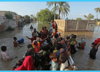 Over 4.2 million people, 1.58m animals affected by devastating floods in Punjab