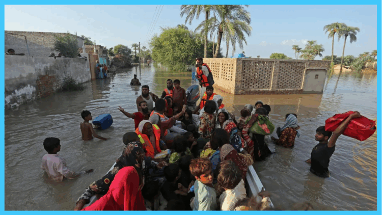 Over 4.2 million people, 1.58m animals affected by devastating floods in Punjab