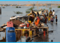 Updated Flood Report: Rising Waters, Widespread Damage, and Relief Efforts Across Pakistan