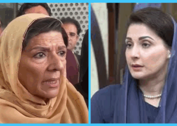 Court Seeks Police Reply on Petition in Aleema Khan Egg-Throwing Incident