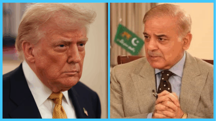 PM Shehbaz Sharif to meet US President Donald Trump and other world leaders in New York