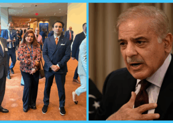 Shama Junejo claims PM Shehbaz tasked her with drafting UNGA speech