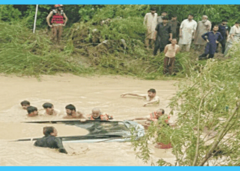 Rescue Boat Capsizes in Chenab River, Four Dead Including Children in Multan