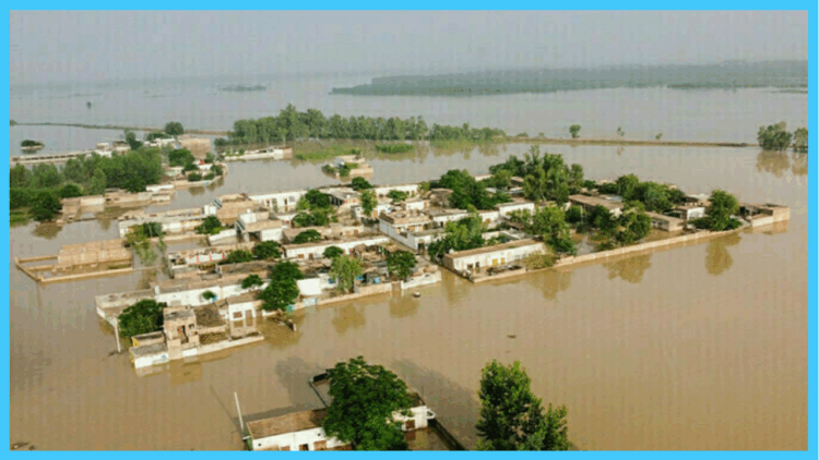 India alerts Pakistan to “high-level” floods at Harike, Ferozepur on Sutlej