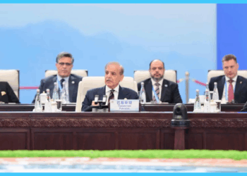 PM Shehbaz Raises Indus Waters Treaty at SCO Summit, Calls for Structural Dialogue