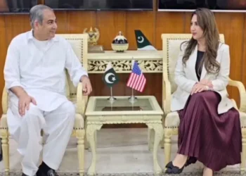 Mohsin Naqvi, Acting US Ambassador Discuss Strengthening Pakistan-US Ties