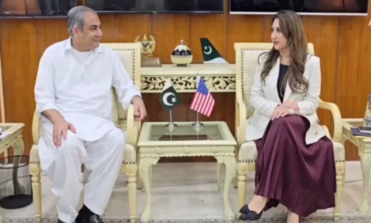 Mohsin Naqvi, Acting US Ambassador Discuss Strengthening Pakistan-US Ties