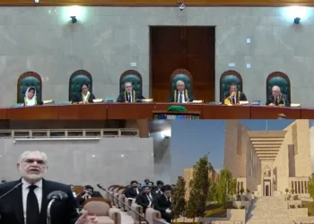 Only Constitutional Bench Can Hear Constitutional Cases: Justice Mazhar