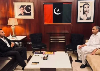 Bilawal, Naqvi Call for Unity to Address National Challenges amid PPP–PML-N Tensions