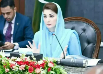 Punjab Moves to Become Arms-Free: Maryam Nawaz Approves Sweeping Gun Control Reforms