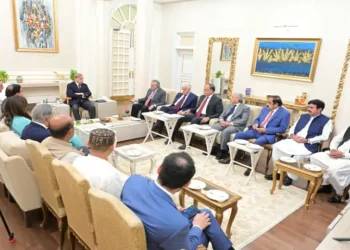 PML-N and PPP Agree to Strengthen Coalition Unity, Avoid Public Confrontation