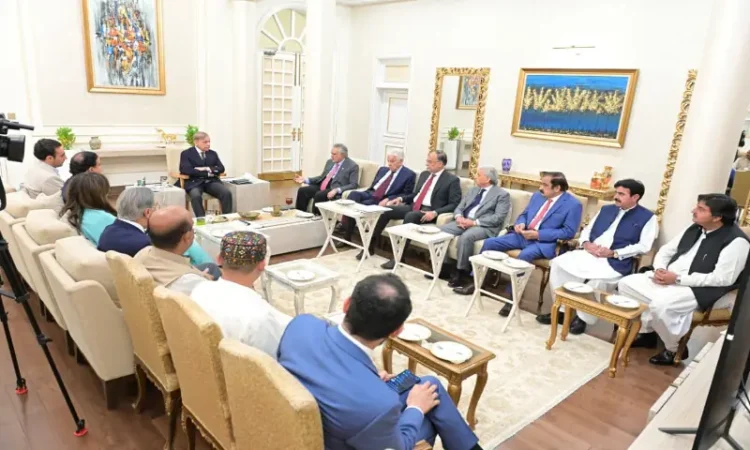 PML-N and PPP Agree to Strengthen Coalition Unity, Avoid Public Confrontation