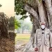 150-Year-Old Banyan Tree Felled in Lahore, Sparks Outrage Amid Smog Crisis