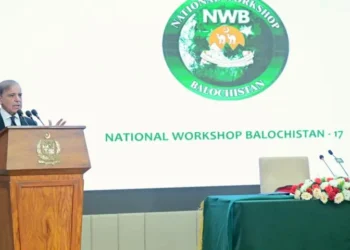 PM Shehbaz calls for provincial consensus to strengthen federation and national unity