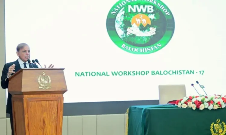 PM Shehbaz calls for provincial consensus to strengthen federation and national unity