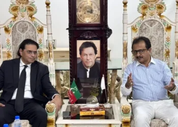 PTI to Launch Nationwide Public Engagement Campaign with Massive Rally in Karachi this November