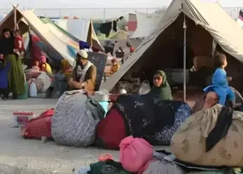 Pakistan Launches Nationwide Crackdown on Fake CNIC Holders, Including Afghans