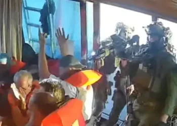 Pakistan, World Condemn Israeli Interception of Gaza Aid Flotilla