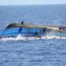 18 Dead, 64 Rescued — Including 12 Pakistanis — After Migrant Boat Capsizes Off Libya