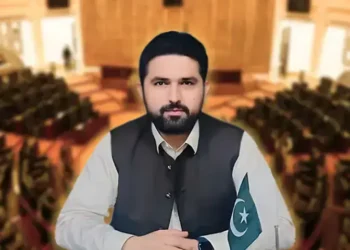 KP forms parliamentary security committee to tackle law and order issues