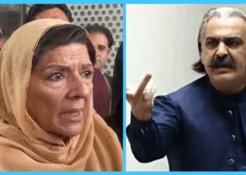 Gandapur Accuses Aleema Khan of Dividing PTI, Claims Support from ‘Establishment’