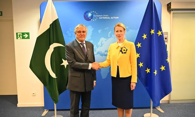 Pakistan, EU Urge Afghanistan To Act Against Terror Groups