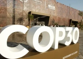 Pakistan Calls for Urgent Grant-Based Climate Financing for Vulnerable Nations at COP30