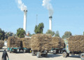 CCP issues show cause notices to ten Punjab sugar mills over alleged collusion
