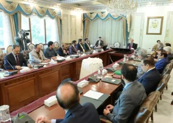 PM, MQM-P, and IPP Leaders Discuss Key Changes in Proposed Constitutional Package