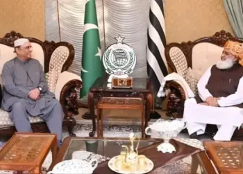 Maulana Meets President to Discuss 27th Constitutional Amendment, Provincial Rights