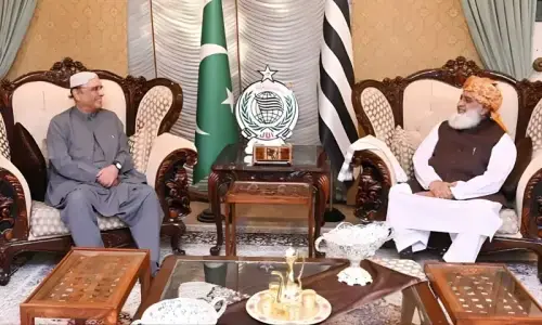 Maulana Meets President to Discuss 27th Constitutional Amendment, Provincial Rights