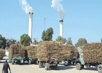 CCP issues show cause notices to ten Punjab sugar mills over alleged collusion