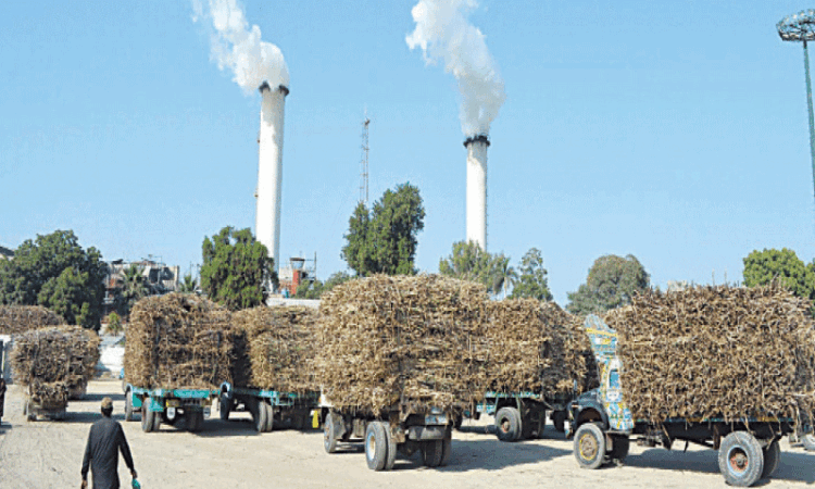 CCP issues show cause notices to ten Punjab sugar mills over alleged collusion