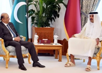 President Zardari, Qatari Emir Discuss Defence Cooperation; Doha Welcomes Pakistan’s Offer