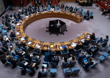 UN Security Council Approves US-Backed Gaza Plan, Clears Way for International Stabilization Force