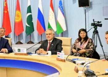 Dar urges SCO states to boost economic cooperation and modernise organisation