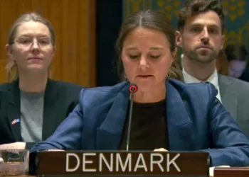 Denmark Warns UNSC of TTP Threat; Pakistan Highlights Evolving Global Terror Landscape