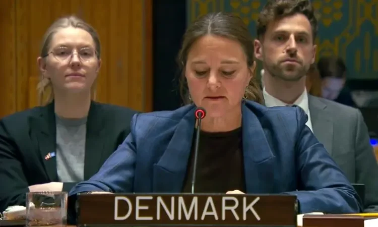 Denmark Warns UNSC of TTP Threat; Pakistan Highlights Evolving Global Terror Landscape