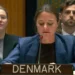 Denmark Warns UNSC of TTP Threat; Pakistan Highlights Evolving Global Terror Landscape