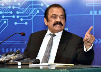 Rana Sanaullah Denies Media “Fearmongering” Over Amendment Debate