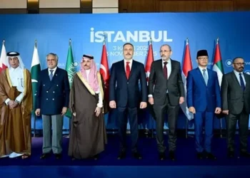 Muslim Nations Condemn Israeli Violations of Gaza Ceasefire