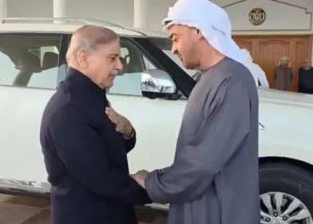 PM Shehbaz, UAE President Agree to Upgrade Ties into Strategic Economic Partnership
