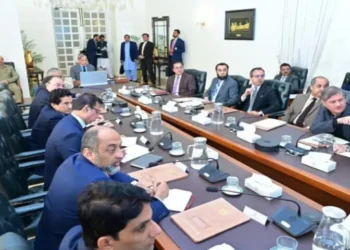 PM Shehbaz Approves Key Electricity Projects for Gilgit-Baltistan and Gwadar