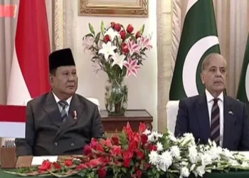 Pakistan, Indonesia vow to deepen cooperation; PM Shehbaz terms talks ‘highly productive’