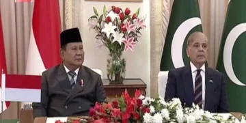 Pakistan, Indonesia vow to deepen cooperation; PM Shehbaz terms talks ‘highly productive’