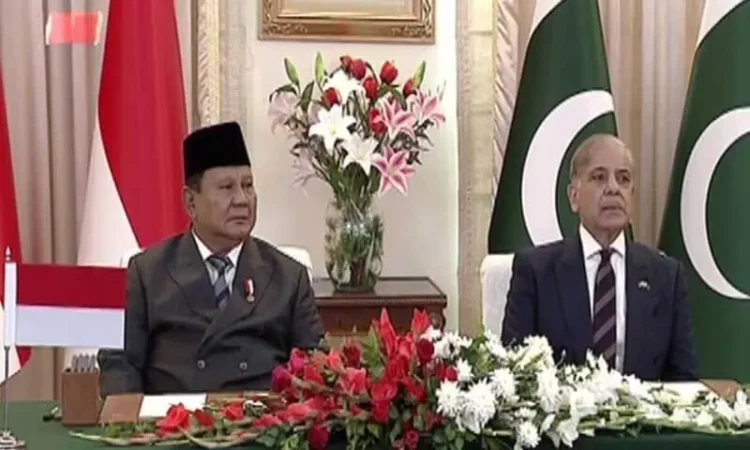 Pakistan, Indonesia vow to deepen cooperation; PM Shehbaz terms talks ‘highly productive’