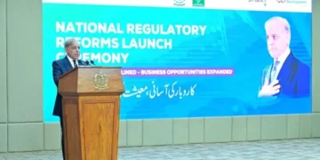 Pakistan Out of Economic Danger Zone, Key Indicators Improving: PM Shehbaz
