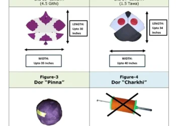 Punjab Notifies Kite-Flying Rules, Basant Scale and Dates Still Undecided