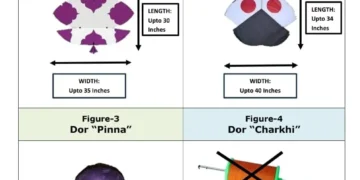 Punjab Notifies Kite-Flying Rules, Basant Scale and Dates Still Undecided